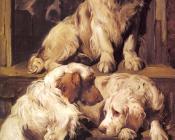 Clumber Spaniels - 约翰·伊姆斯